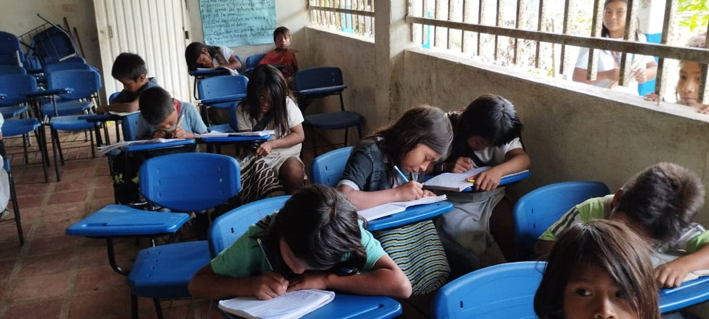 Zykuta School - Sierra Nevada Region, Colombia - 2024 Phase 2 (COMPLETE)